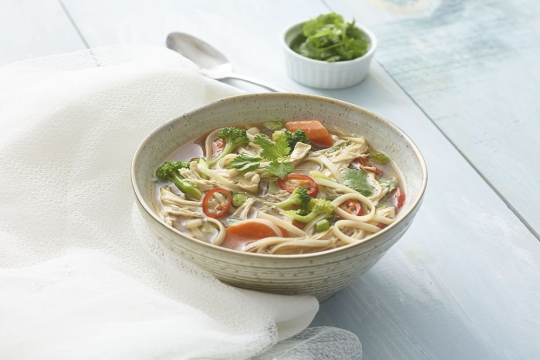 Vietnamese Noodle Soup 